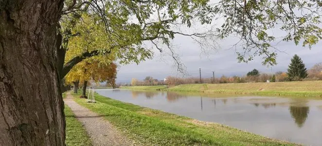 Štěpky_1